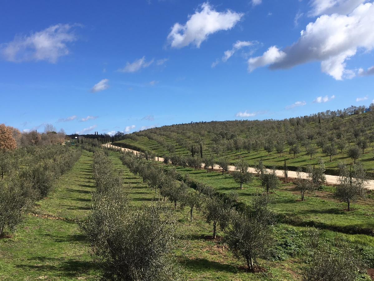 Il Podere Di Marfisa Farnese Luaran gambar